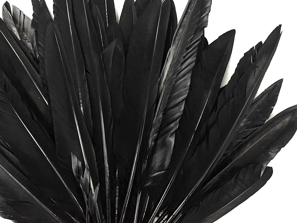 1/4 lbs. - Black Duck Pointer Primary Wing Wholesale Feathers (Bulk)