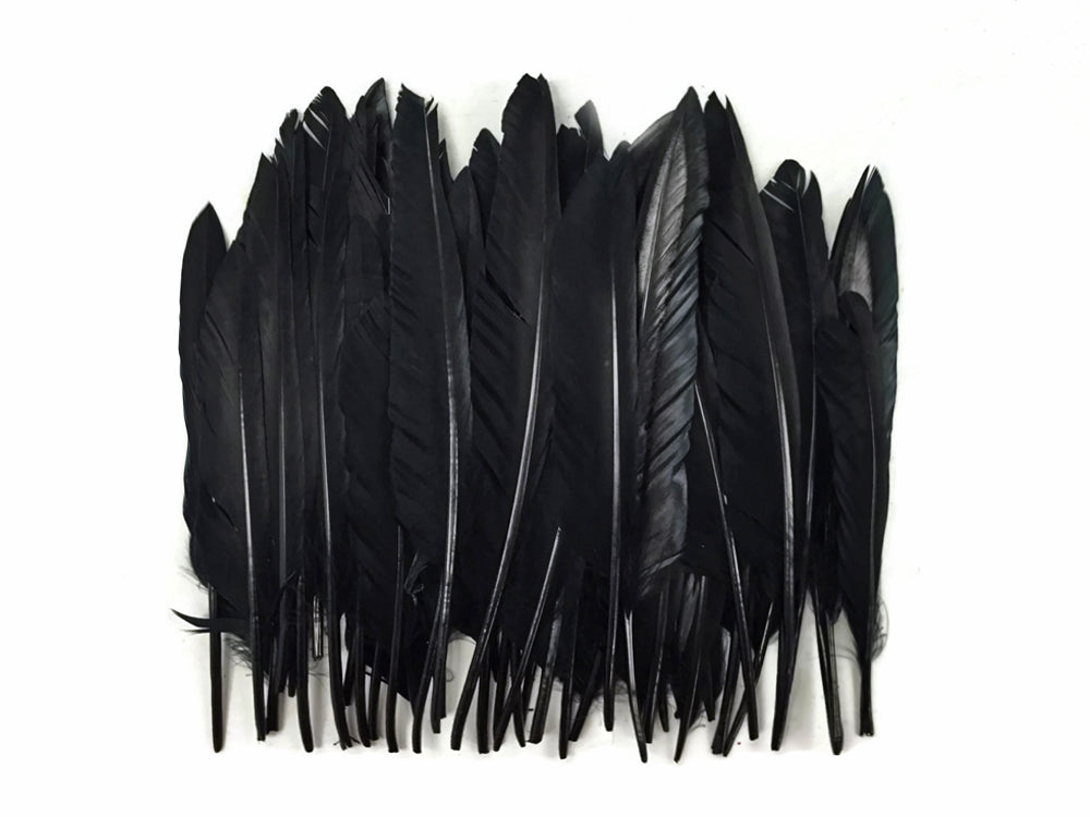 1 Pack - Black Duck Primary Wing Pointer Feathers 0.50 Oz.