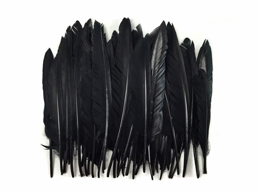 1/4 Lbs - Black Duck Pointer Primary Wing Wholesale Feathers (Bulk)