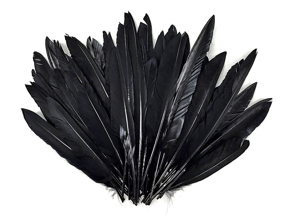 1/4 Lbs - Black Duck Pointer Primary Wing Wholesale Feathers (Bulk)