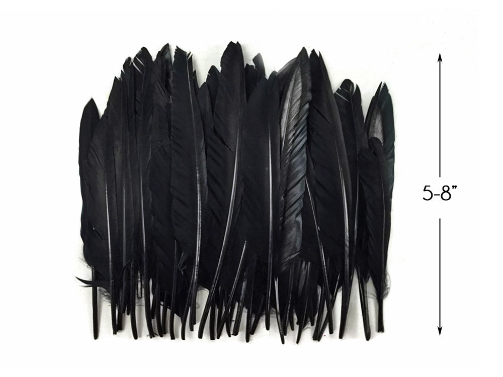 1/4 lbs. - Black Duck Pointer Primary Wing Wholesale Feathers (Bulk)