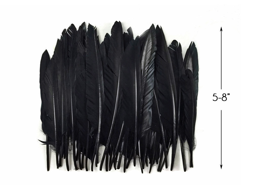 1/4 Lbs - Black Duck Pointer Primary Wing Wholesale Feathers (Bulk)