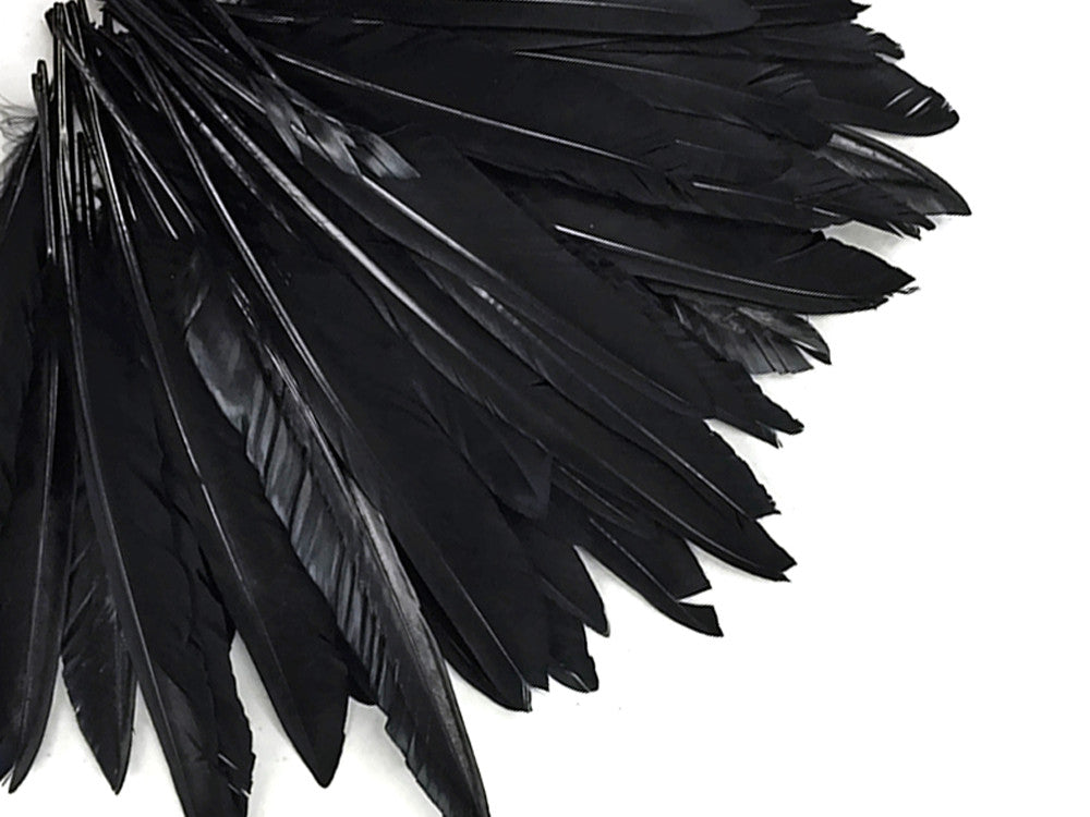 1/4 Lbs - Black Duck Pointer Primary Wing Wholesale Feathers (Bulk)