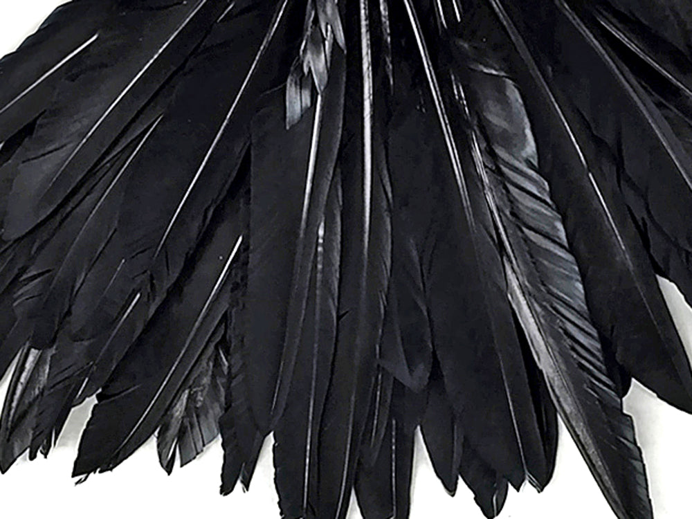 1/4 lbs. - Black Duck Pointer Primary Wing Wholesale Feathers (Bulk)