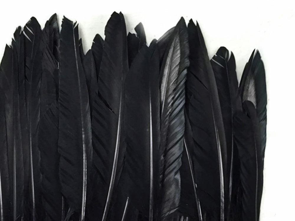 1/4 lbs. - Black Duck Pointer Primary Wing Wholesale Feathers (Bulk)