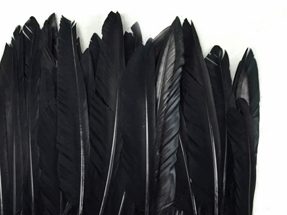 1 Pack - Black Duck Primary Wing Pointer Feathers 0.50 Oz.