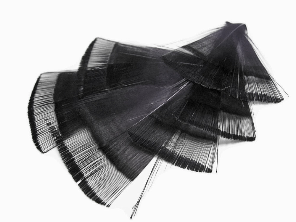 1 Dozen - Black Dyed Golden Pheasant Tippet Neck Plumage Feather