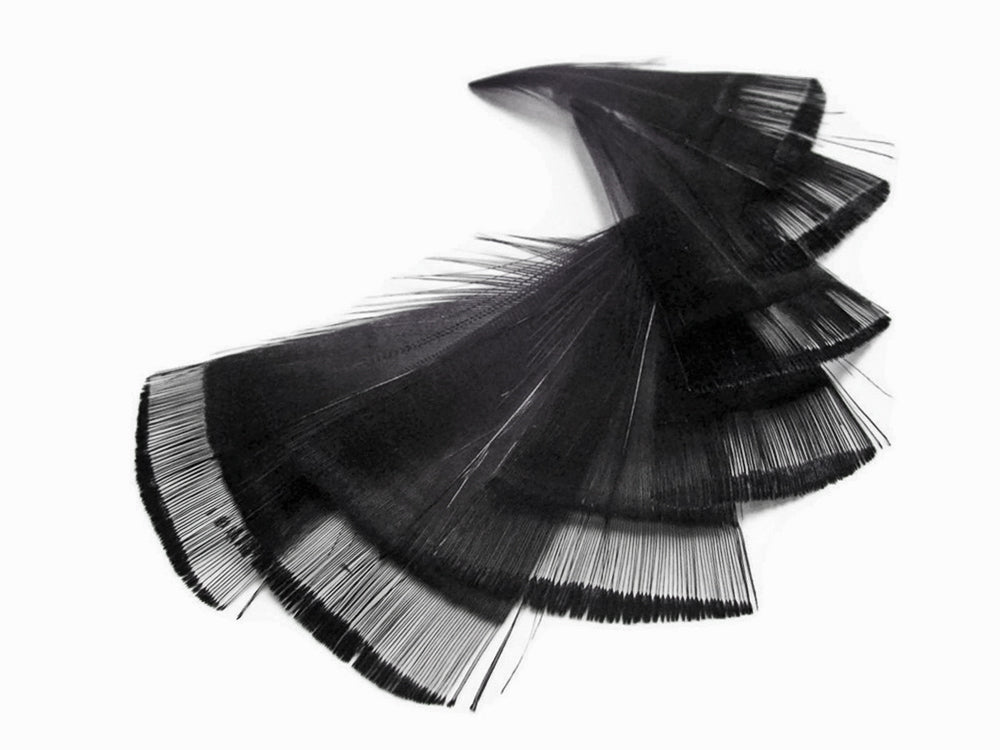 1 Dozen - Black Dyed Golden Pheasant Tippet Neck Plumage Feather
