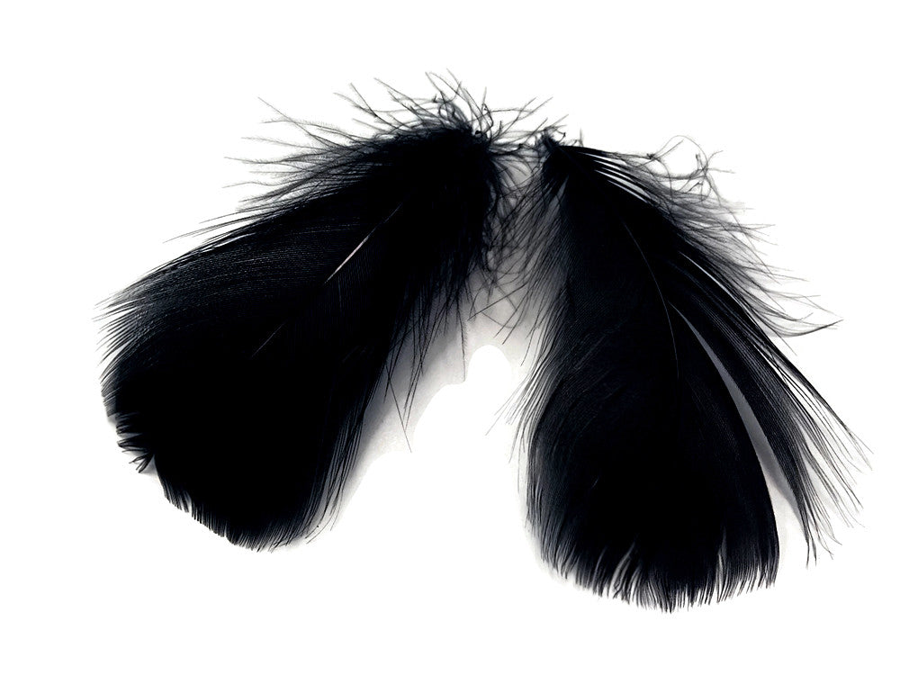 1/4 Lb - 2-3" Black Goose Coquille Loose Wholesale Feathers (Bulk)