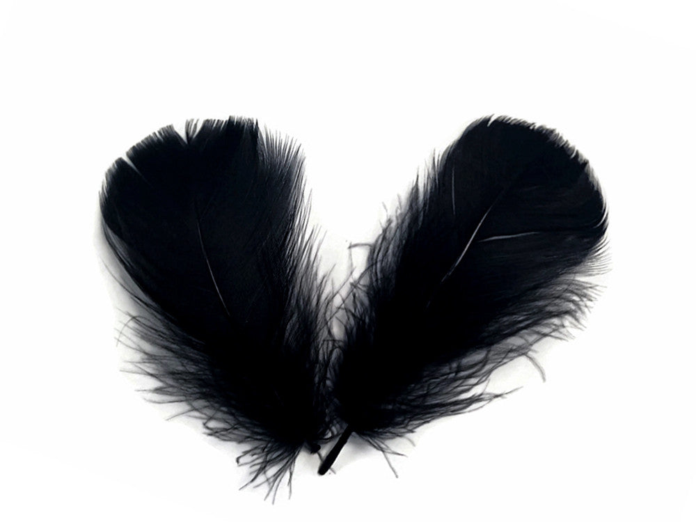 1 Pack - 2-3" Black Goose Coquille Loose Feathers - 0.35 Oz.