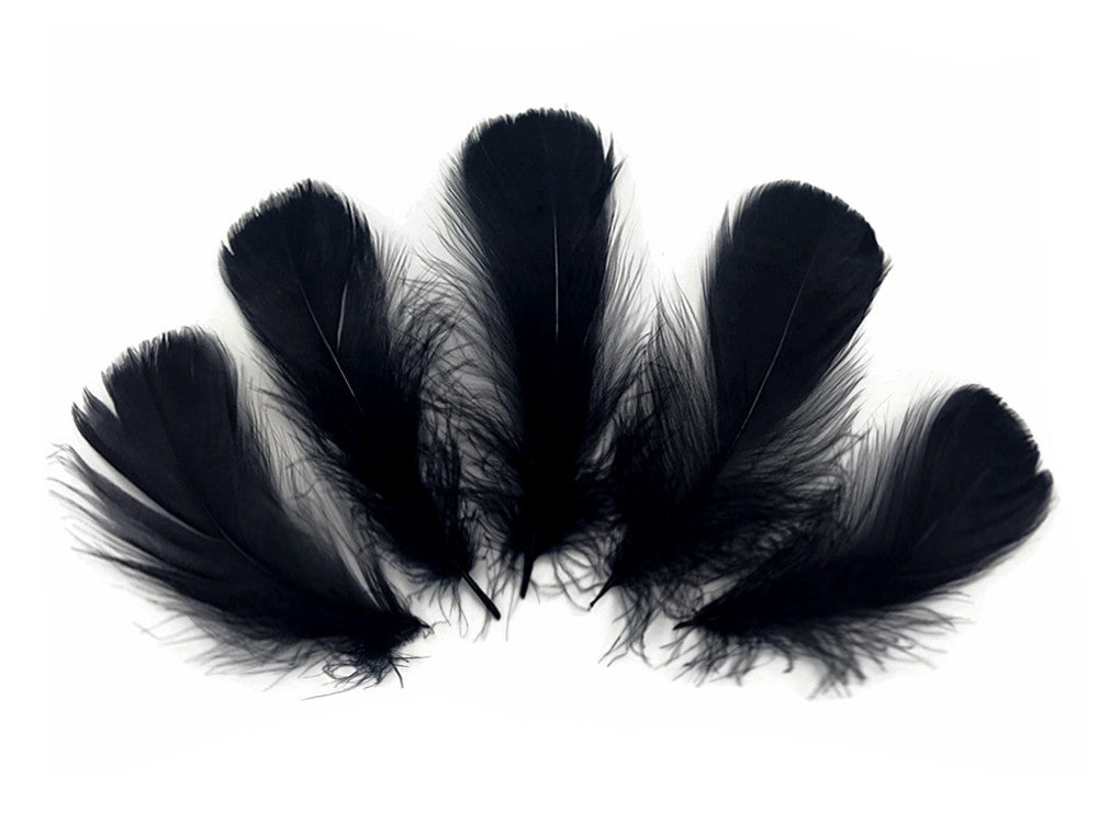 1 Pack - 2-3" Black Goose Coquille Loose Feathers - 0.35 Oz.