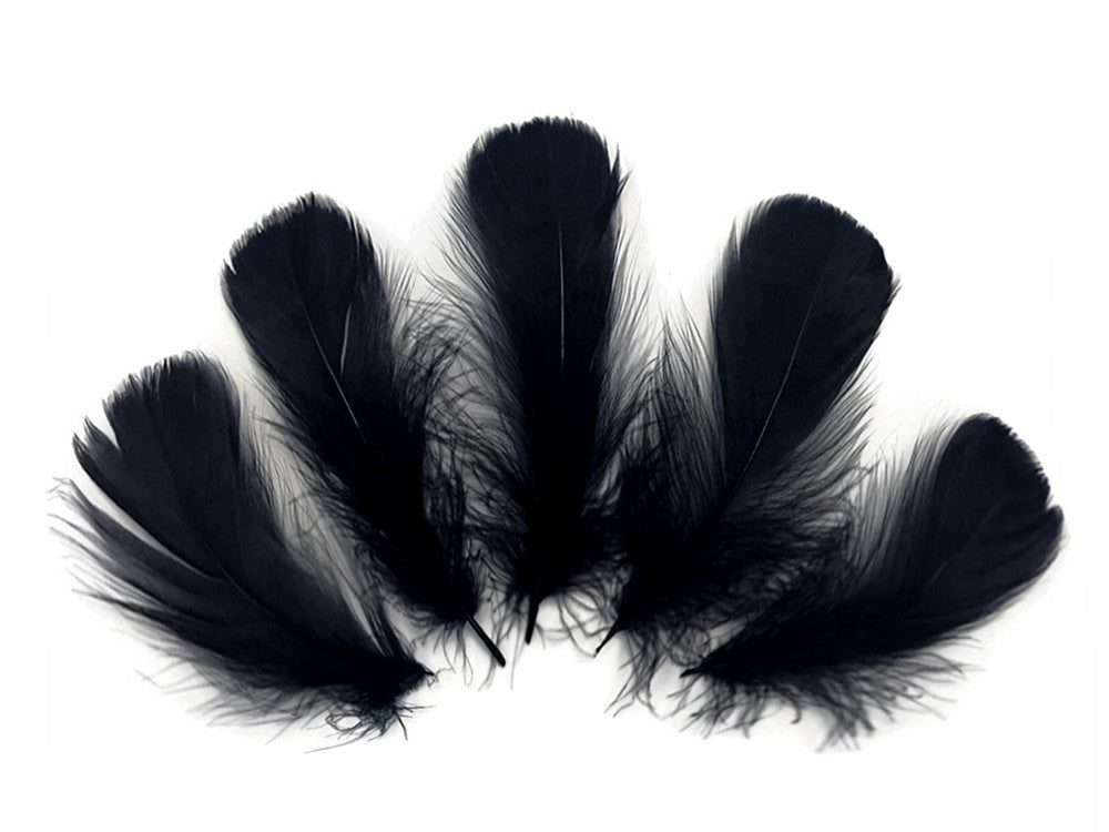 1/4 Lb - 2-3" Black Goose Coquille Loose Wholesale Feathers (Bulk)