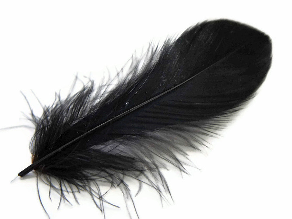 1 Pack - Black Goose Nagoire Loose Feathers - 0.25 Oz.