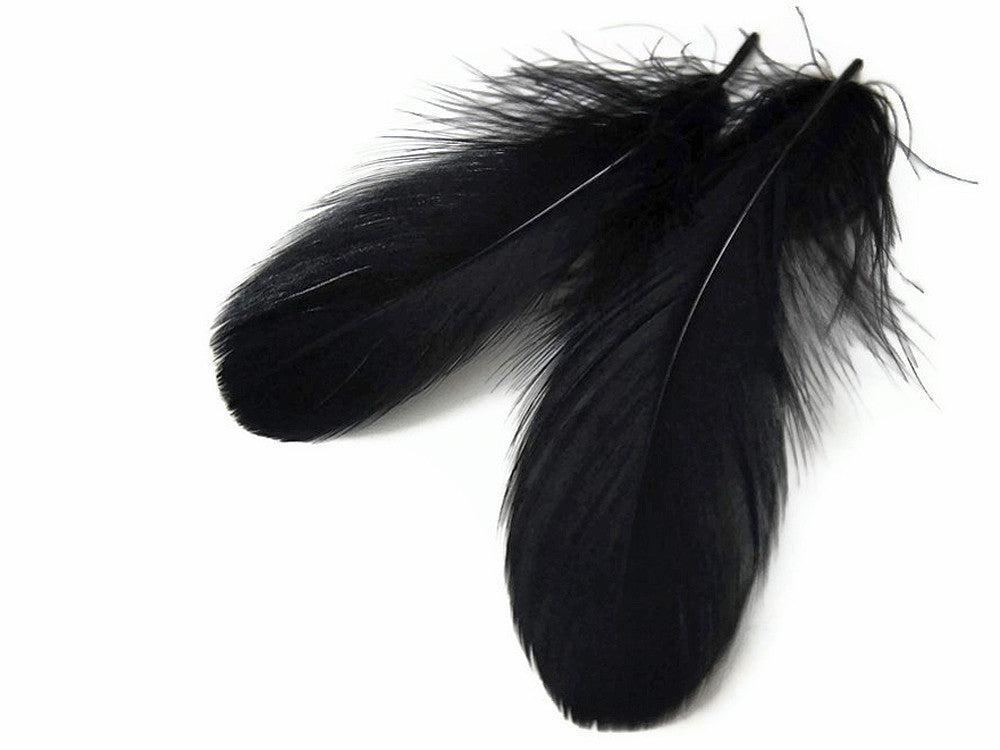 1 Pack - Black Goose Nagoire Loose Feathers - 0.25 Oz.