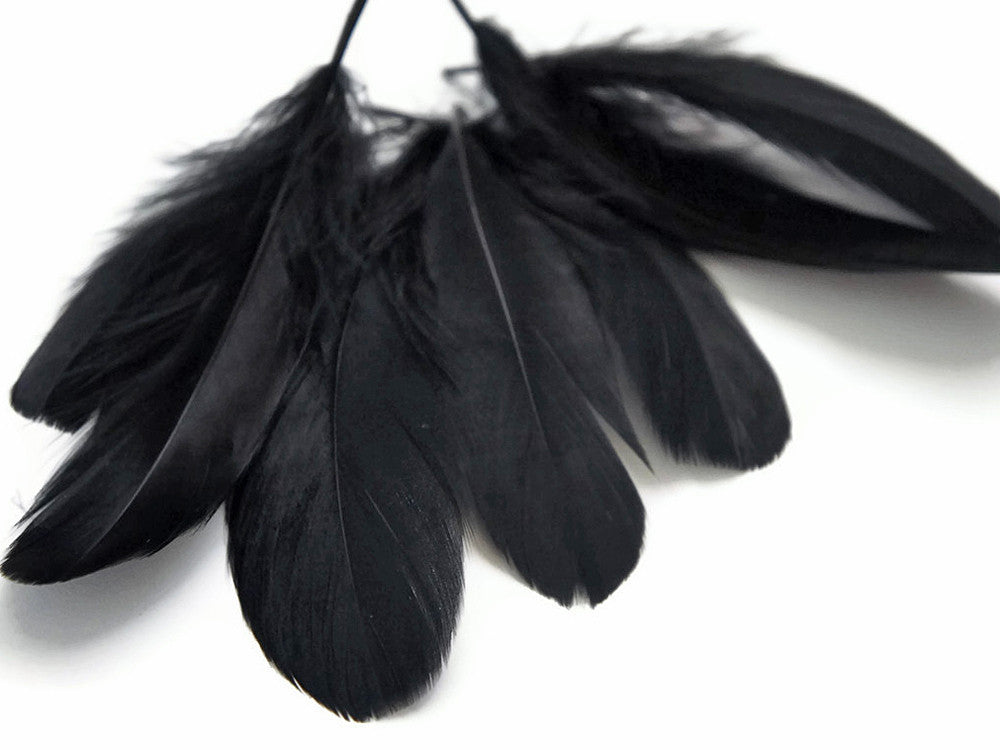 1 Pack - Black Goose Nagoire Loose Feathers - 0.25 Oz.