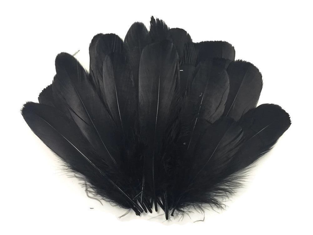 1 Pack - Black Goose Nagoire Loose Feathers - 0.25 Oz.