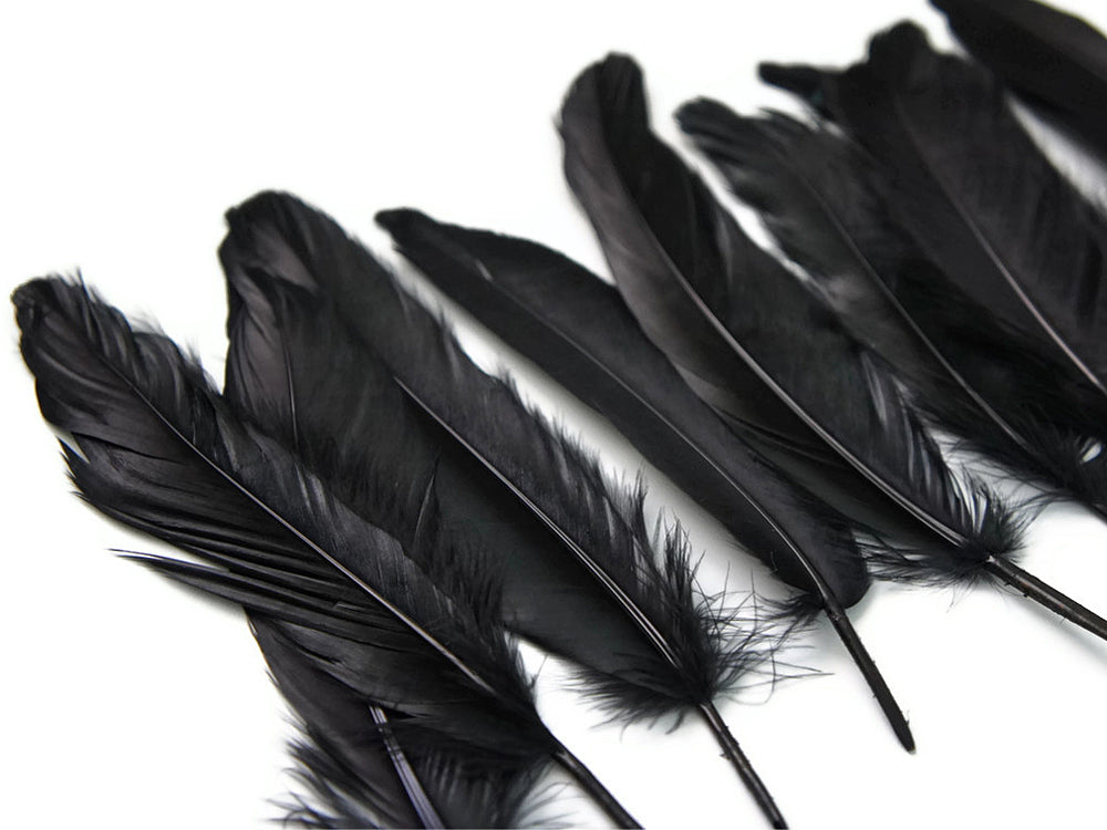 1 Pack - Black Goose Satinettes Pallet Soft Wing Quill Loose Feathers - 0.3 Oz