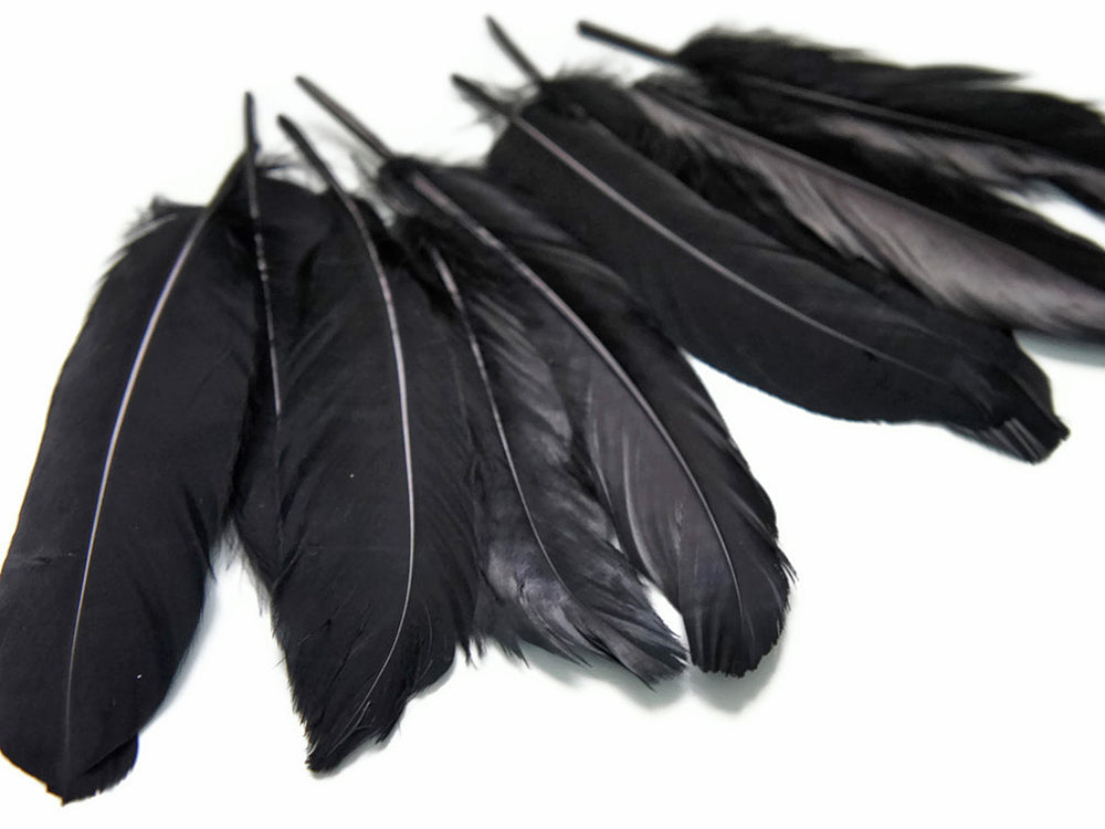1 Pack - Black Goose Satinettes Pallet Soft Wing Quill Loose Feathers - 0.3 Oz
