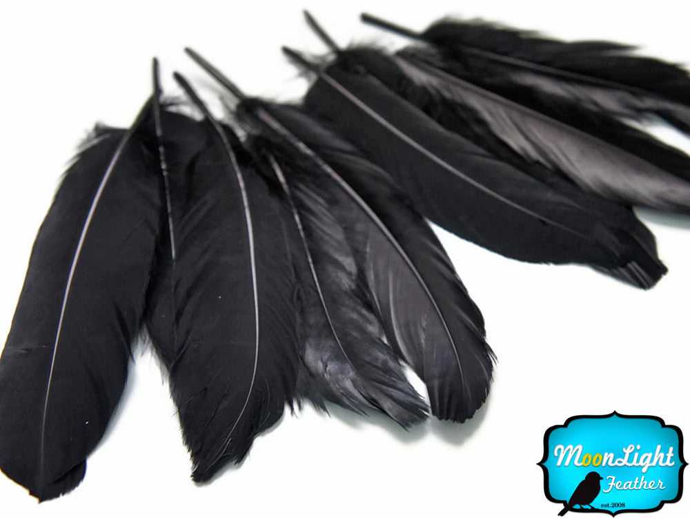 1/4 Lb - Black Goose Satinettes Wholesale Loose Feathers (Bulk)