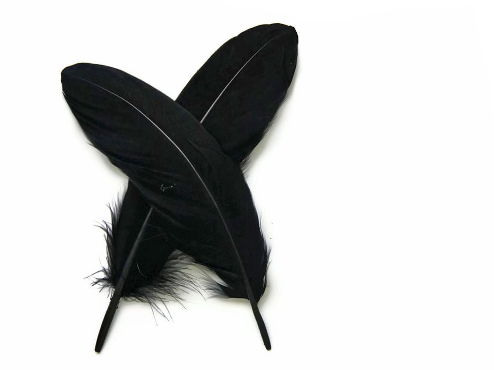 1 Pack - Black Goose Satinettes Pallet Soft Wing Quill Loose Feathers - 0.3 Oz