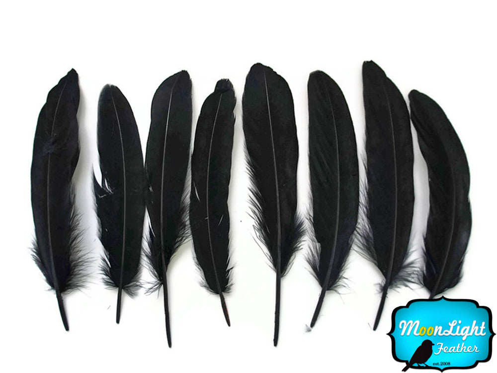 1/4 Lb - Black Goose Satinettes Wholesale Loose Feathers (Bulk)