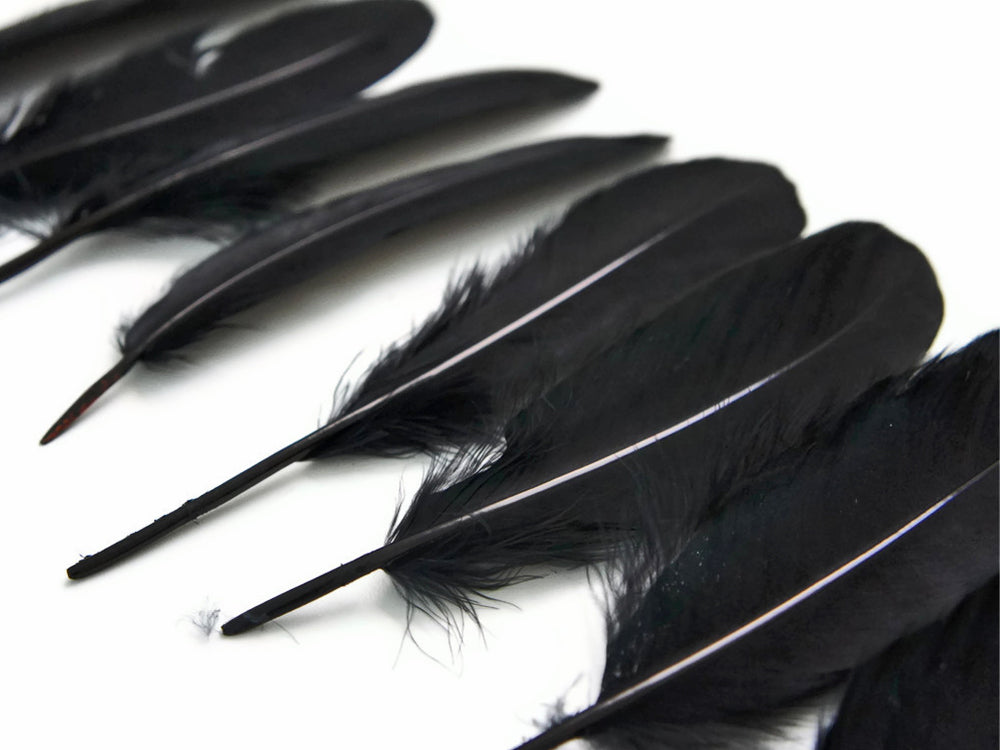 1 Pack - Black Goose Satinettes Pallet Soft Wing Quill Loose Feathers - 0.3 Oz