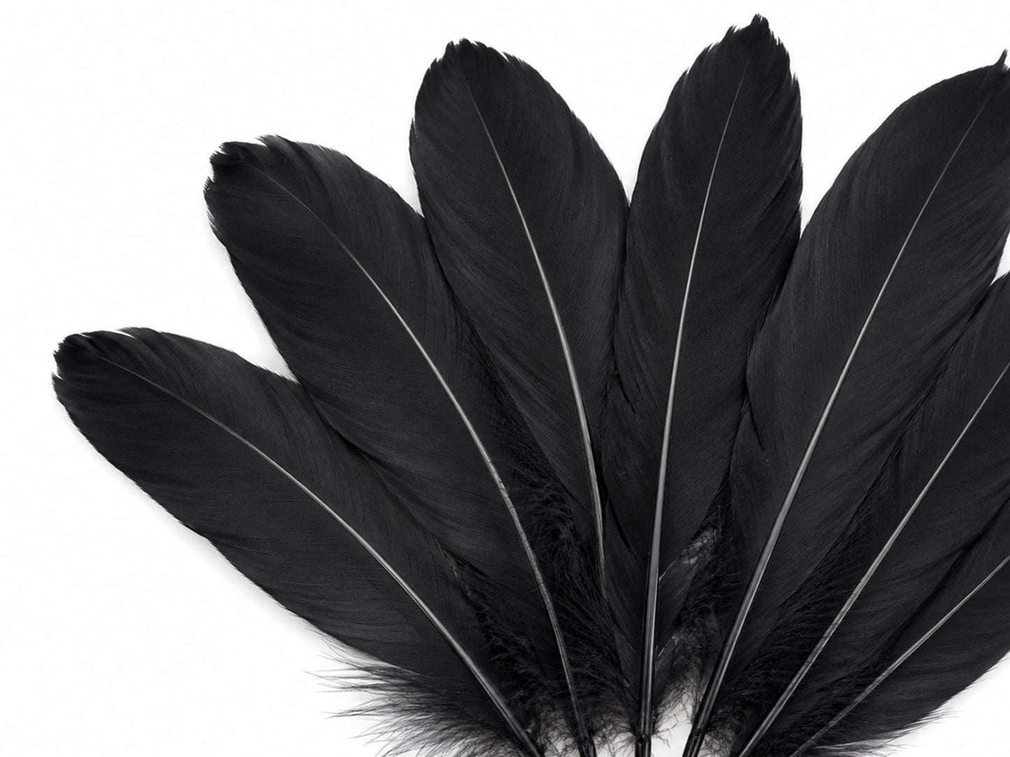 1 Pack - Black Goose Satinettes Pallet Soft Wing Quill Loose Feathers - 0.3 Oz