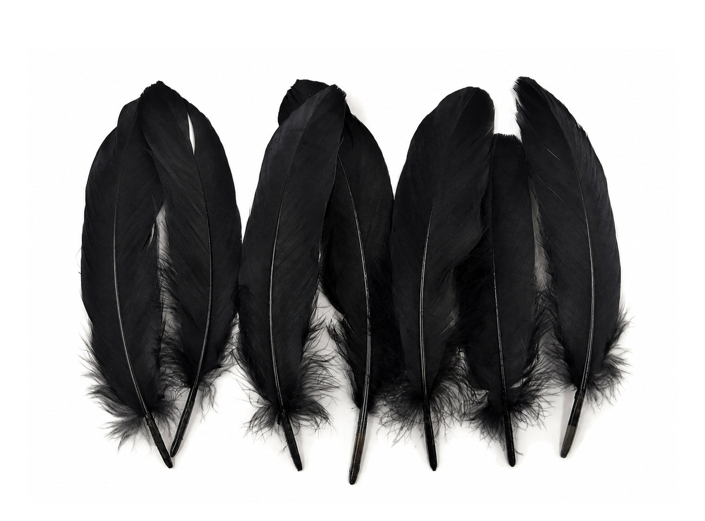 1 Pack - Black Goose Satinettes Pallet Soft Wing Quill Loose Feathers - 0.3 Oz
