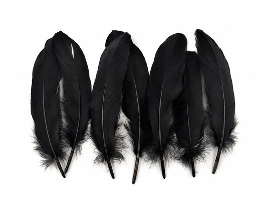 1 Pack - Black Goose Satinettes Pallet Soft Wing Quill Loose Feathers - 0.3 Oz