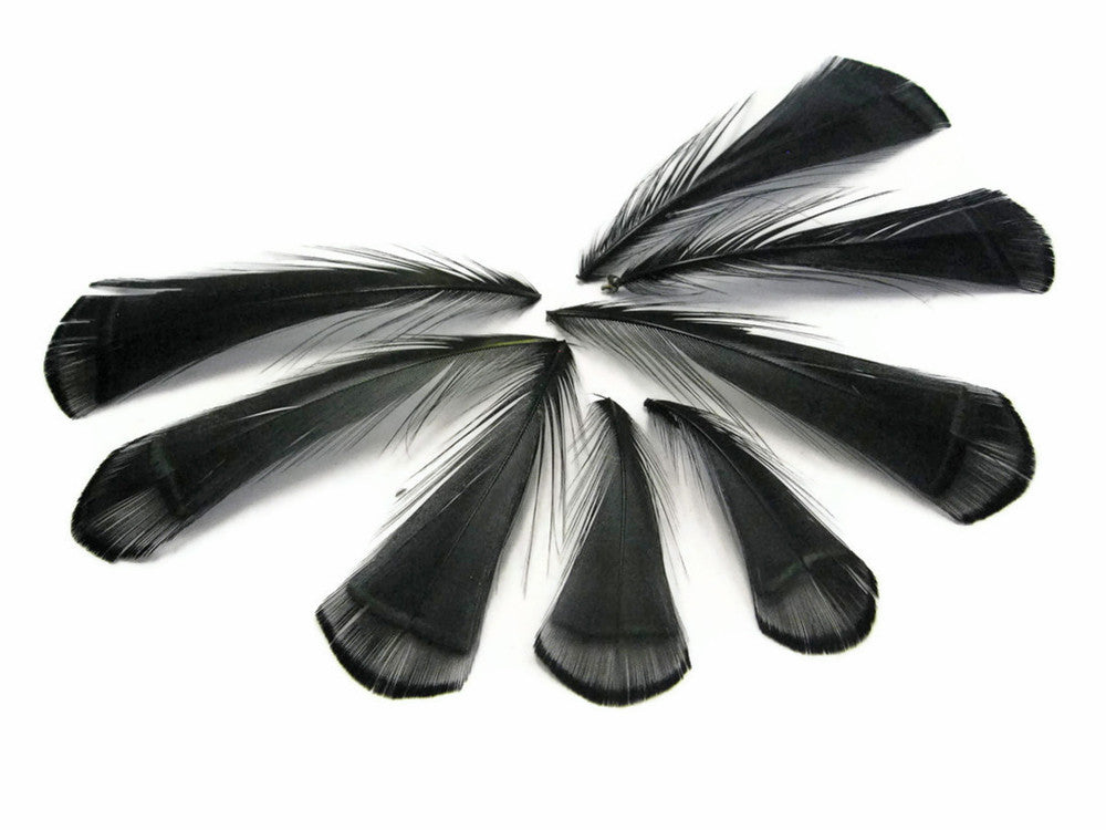 1 Dozen - Black Lady Amherst Pheasant Tippet Feathers