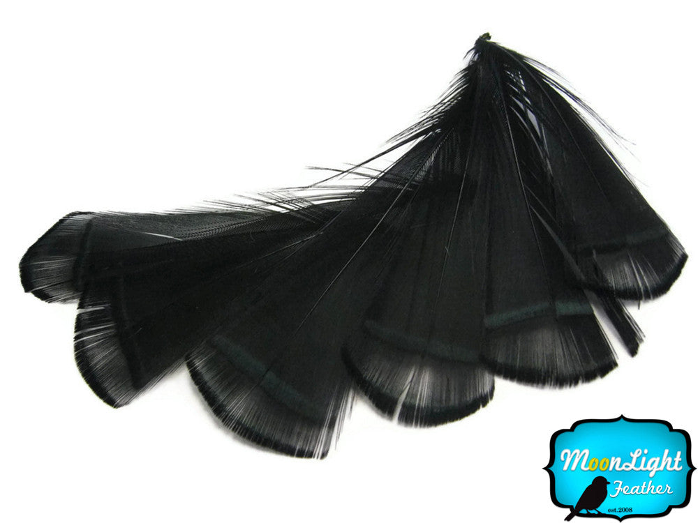 1 Dozen - Black Lady Amherst Pheasant Tippet Feathers