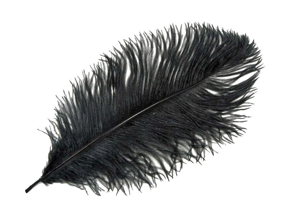 25 Pieces - 14-17" Black Ostrich Drab Centerpiece Feathers Sets