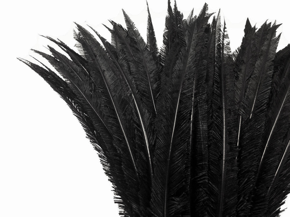 5 Pieces - Black Long Ostrich Nandu Trimmed Feathers