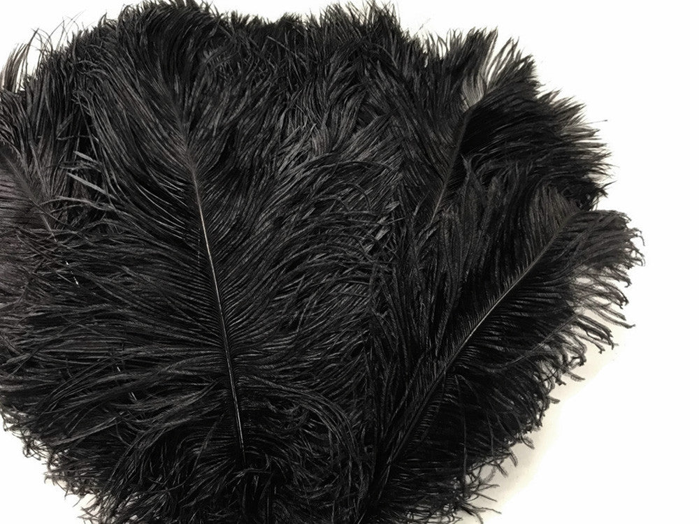 10 Pieces -  12-16" Black Dyed Ostrich Tail Fancy Feathers