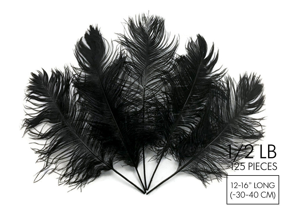 1/2 Lb - 12-16" Black Ostrich Tail Wholesale Fancy Feathers (Bulk)