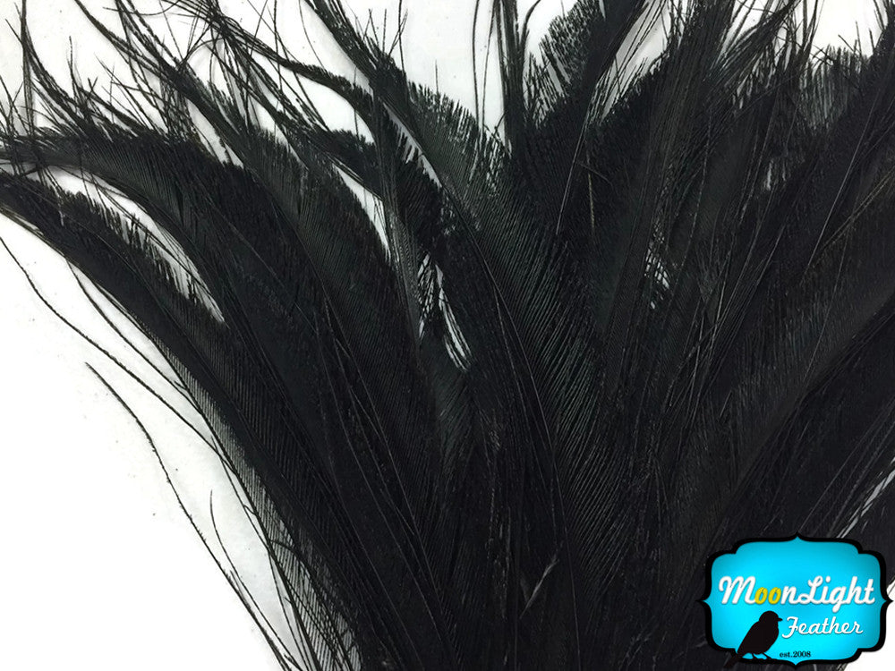 50 Pieces - Black Bleached Peacock Swords Cut Wholesale Feathers (Bulk)