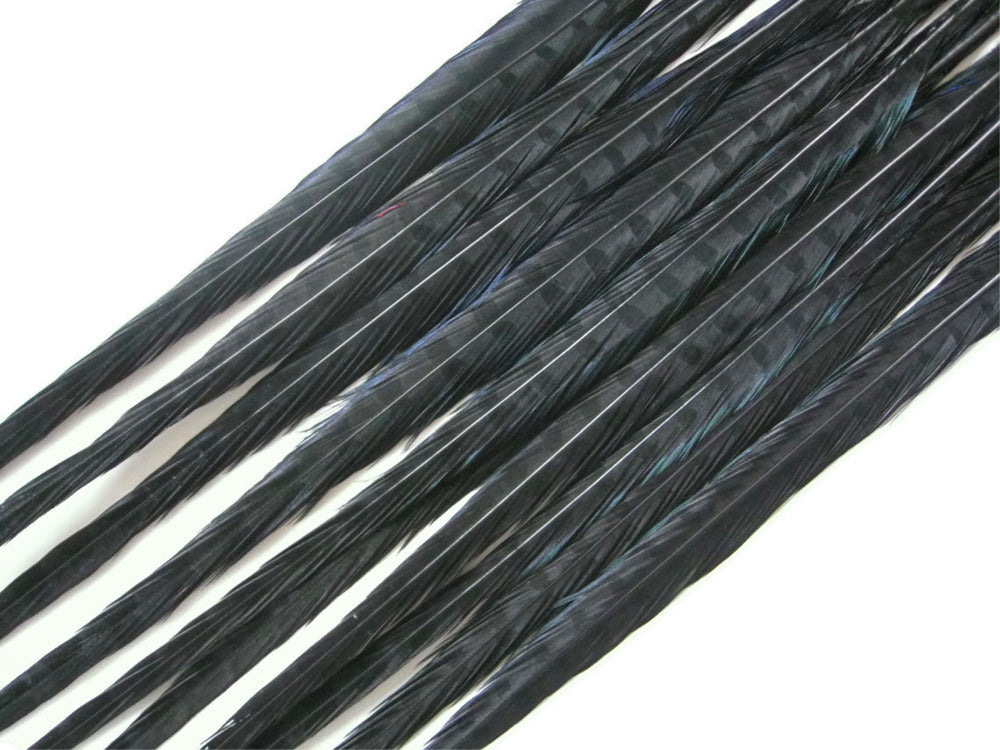 10 Pieces - 18-22" Black Bleached and Dyed Long Ringneck Pheasant Tail Feathers