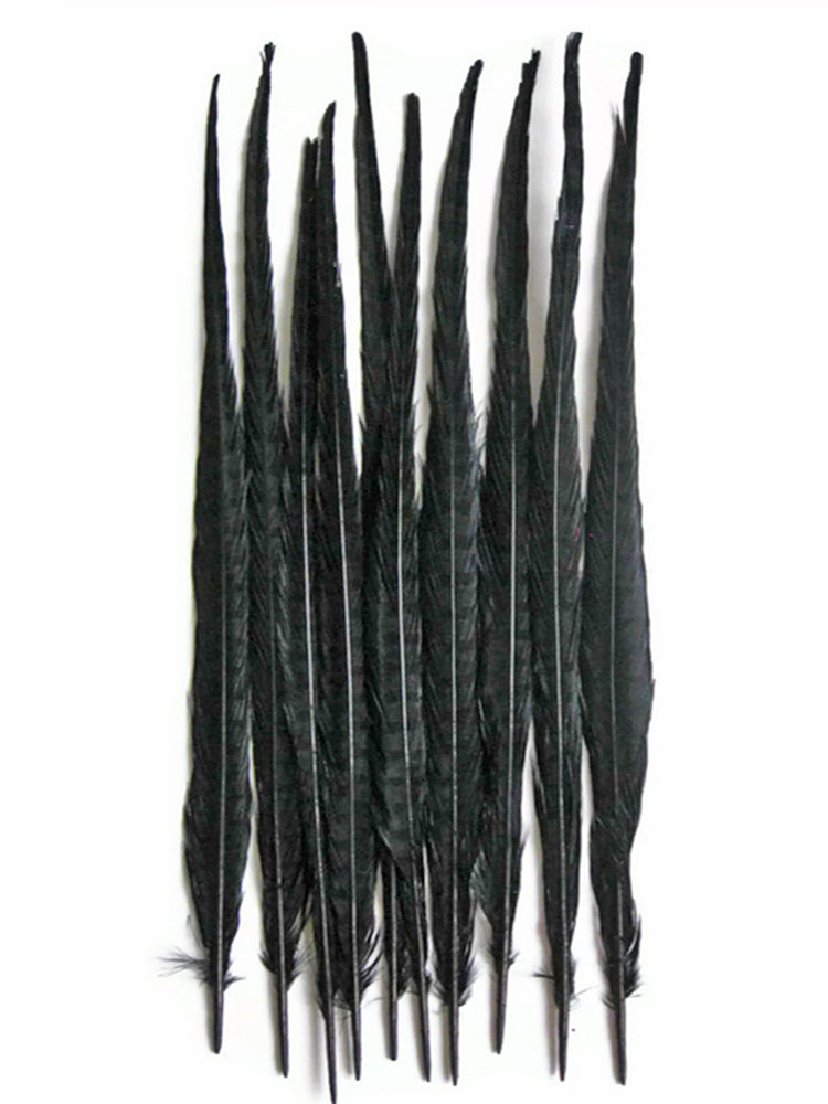 10 Pieces - 18-22" Black Bleached and Dyed Long Ringneck Pheasant Tail Feathers