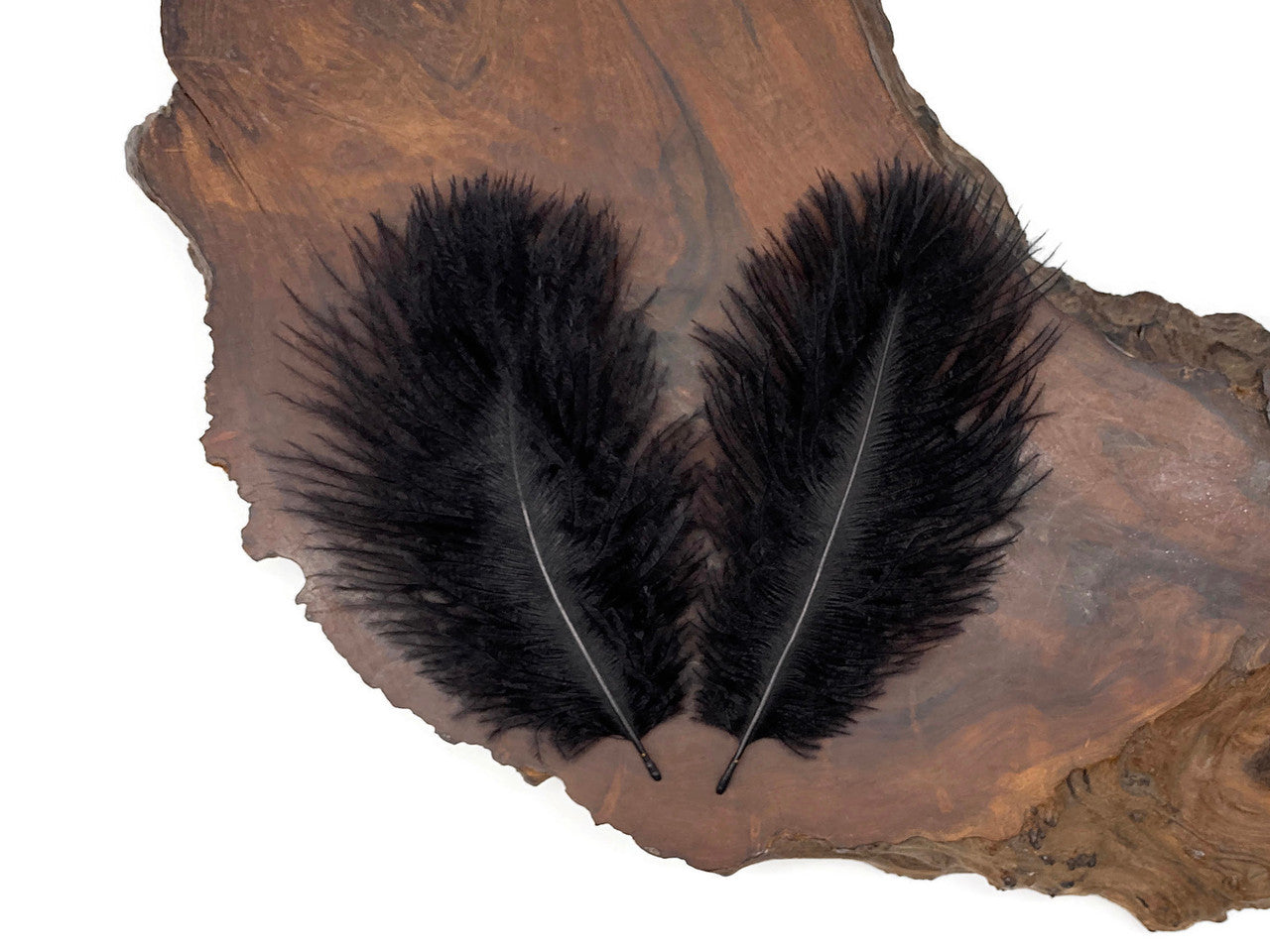 Wholesale Pack - Black Ostrich Small Confetti Feathers (Bulk)