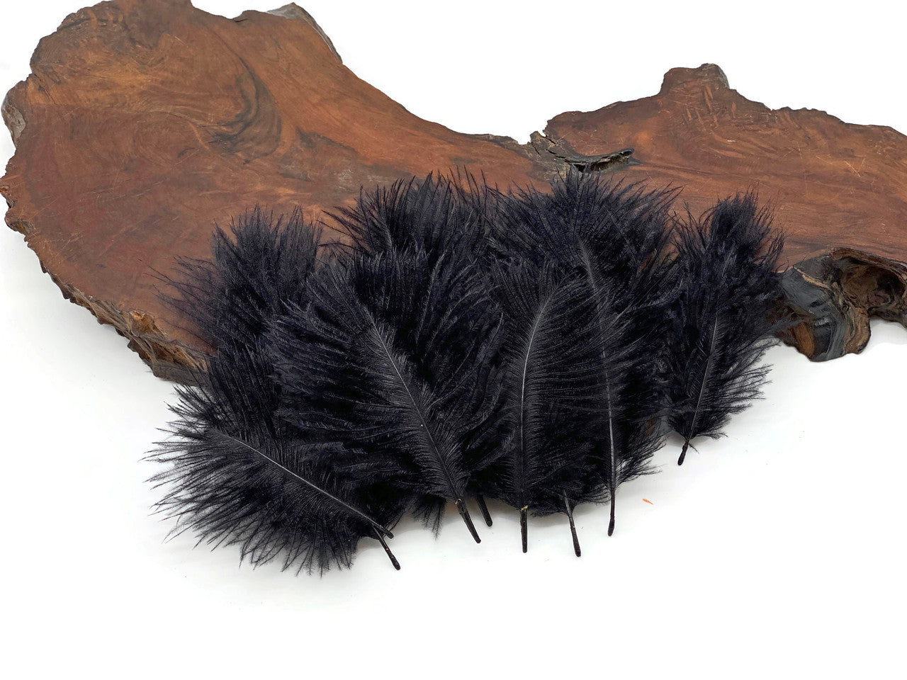 Wholesale Pack - Black Ostrich Small Confetti Feathers (Bulk)