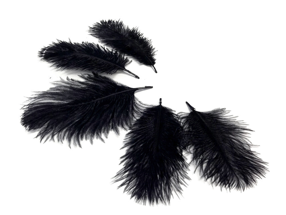 Wholesale Pack - Black Ostrich Small Confetti Feathers (Bulk)