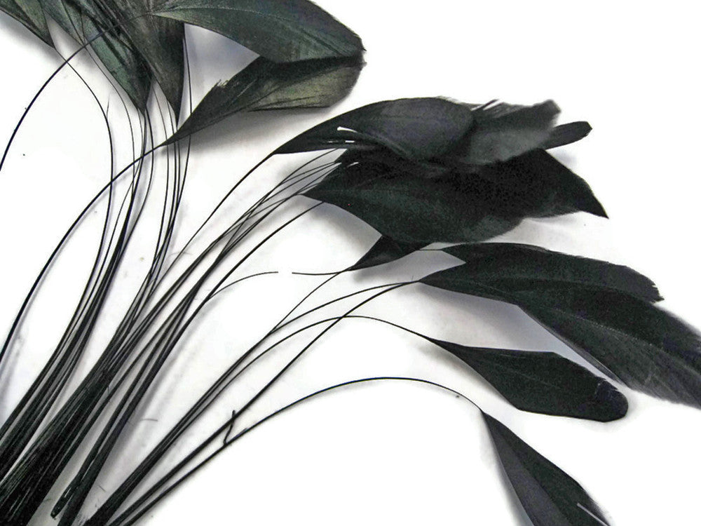 Elegant black feathers for DIY crafts and fashion accessories on a white background.