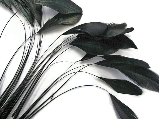 1 Dozen - Black Stripped Rooster Coque Tail Feathers