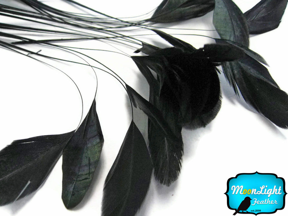 1 Dozen - Black Stripped Rooster Coque Tail Feathers