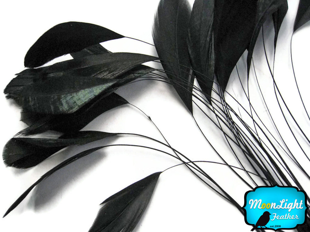 1 Dozen - Black Stripped Rooster Coque Tail Feathers