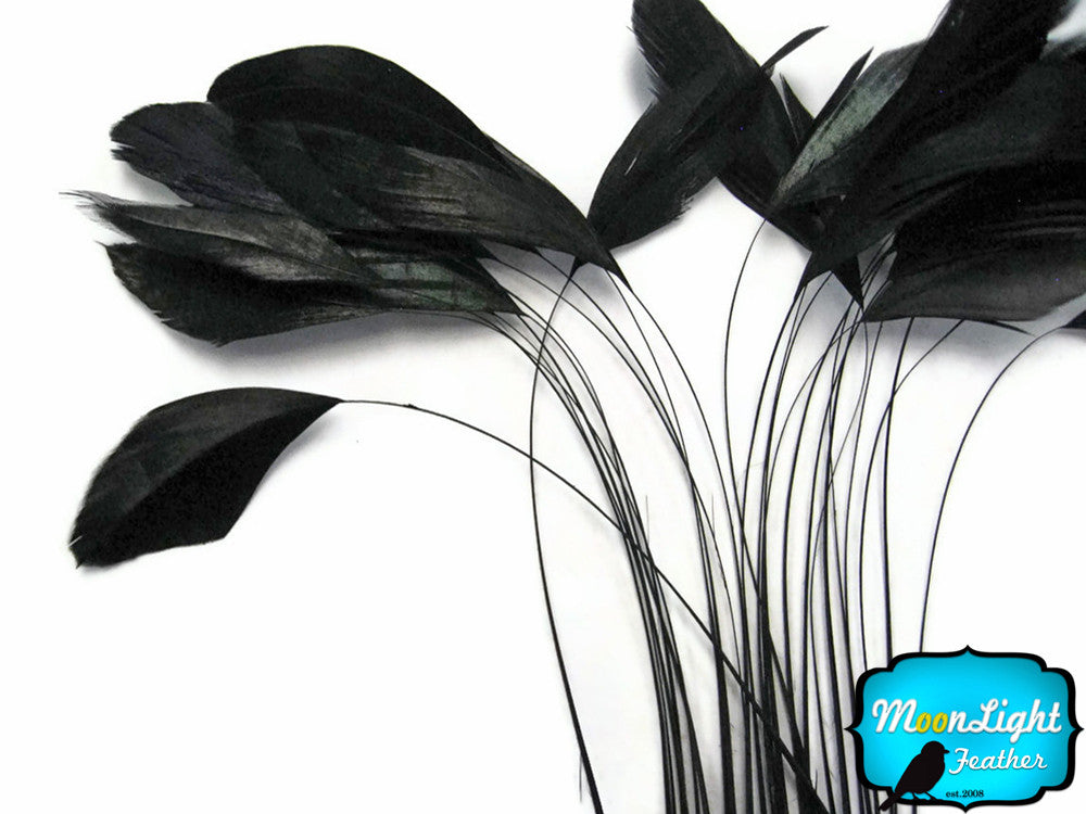 1 Dozen - Black Stripped Rooster Coque Tail Feathers