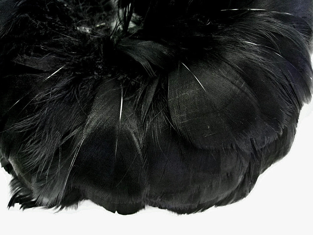 1/4 Lb - 2-3" Black Goose Coquille Loose Wholesale Feathers (Bulk)