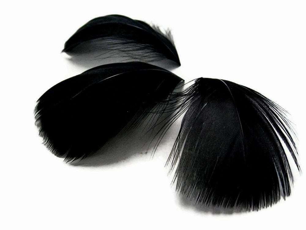 1/4 Lb - 2-3" Black Goose Coquille Loose Wholesale Feathers (Bulk)