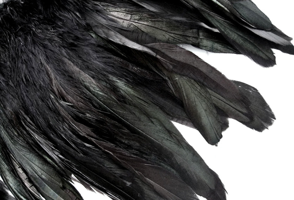 1 Yard - Black Dyed Strung Rooster Schlappen Wholesale Feathers (Bulk)