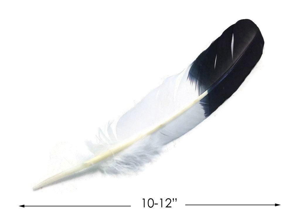 1/4 lbs. - Black Tipped Tom Turkey Rounds Imitation "Eagle" Wholesale Feathers (Bulk)